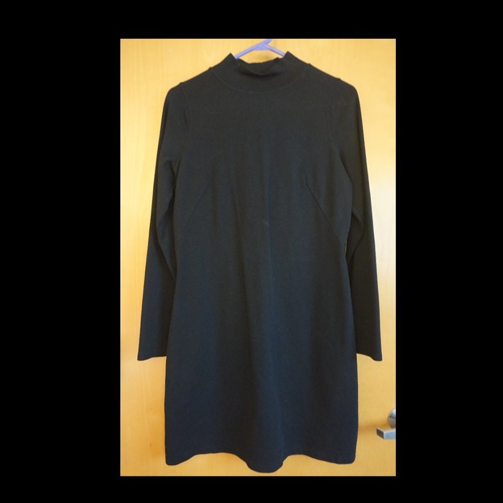 Everlane Cotton Mockneck Dress, Black, Medium
